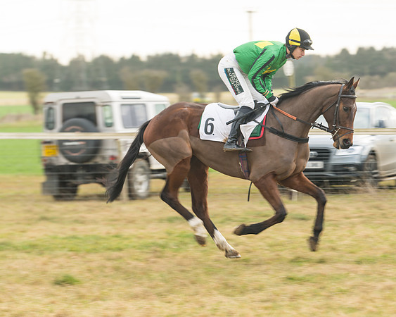 Race 6 - Young Horse Maiden (16 of 64)
