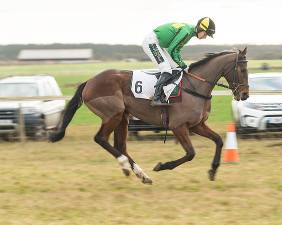 Race 6 - Young Horse Maiden (17 of 64)