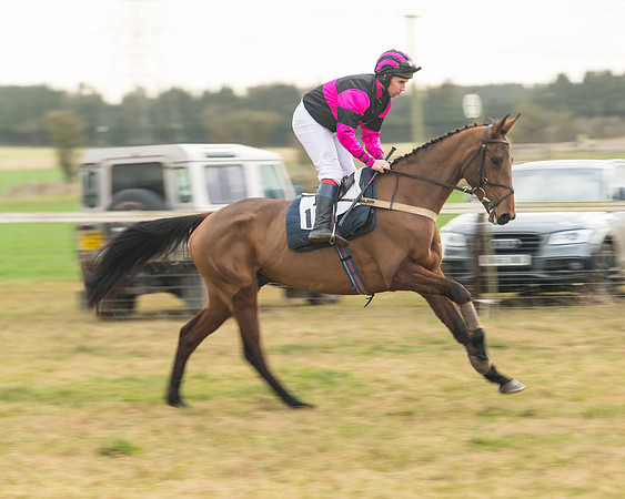 Race 6 - Young Horse Maiden (18 of 64)