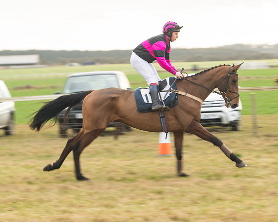 Race 6 - Young Horse Maiden (19 of 64)