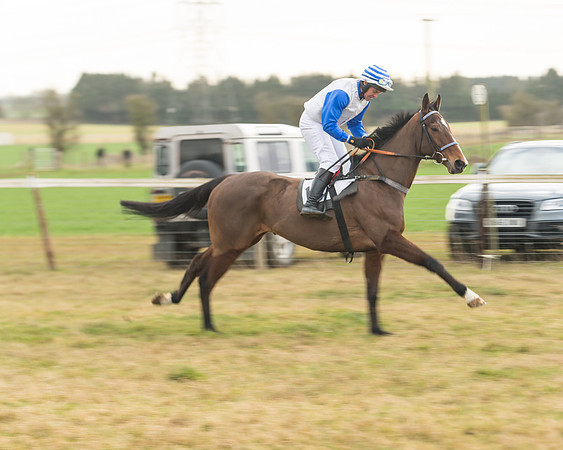 Race 6 - Young Horse Maiden (20 of 64)