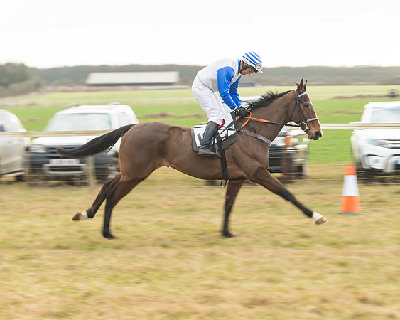 Race 6 - Young Horse Maiden (21 of 64)