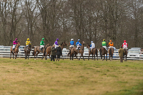 Race 6 - Young Horse Maiden (23 of 64)