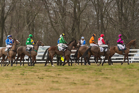 Race 6 - Young Horse Maiden (24 of 64)