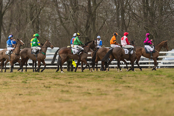 Race 6 - Young Horse Maiden (25 of 64)