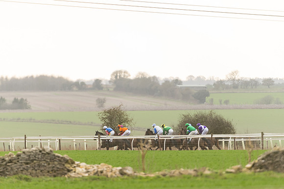 Race 6 - Young Horse Maiden (29 of 64)