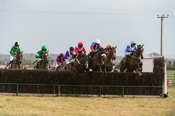 Race 6 - Young Horse Maiden (30 of 64)