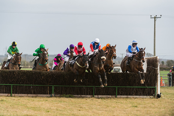 Race 6 - Young Horse Maiden (31 of 64)