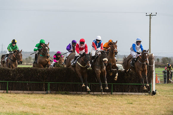 Race 6 - Young Horse Maiden (32 of 64)