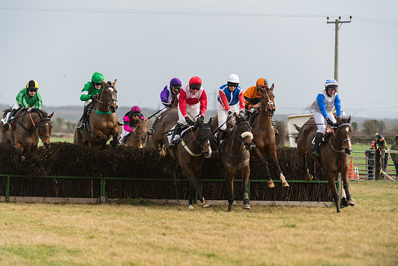Race 6 - Young Horse Maiden (33 of 64)