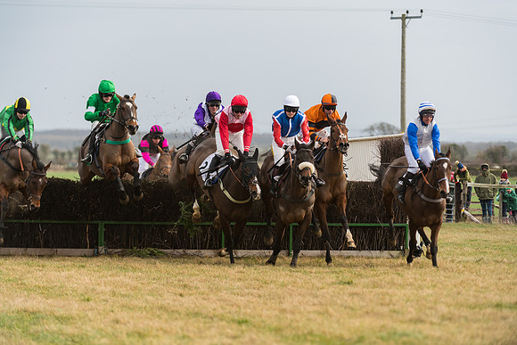 Race 6 - Young Horse Maiden (34 of 64)