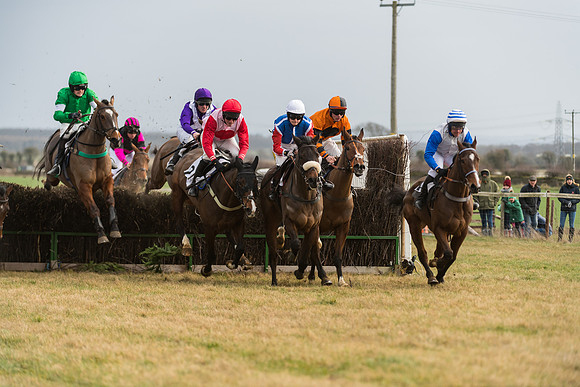 Race 6 - Young Horse Maiden (35 of 64)