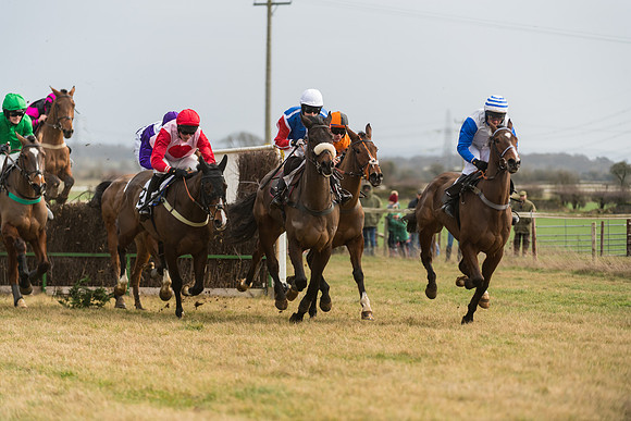 Race 6 - Young Horse Maiden (36 of 64)