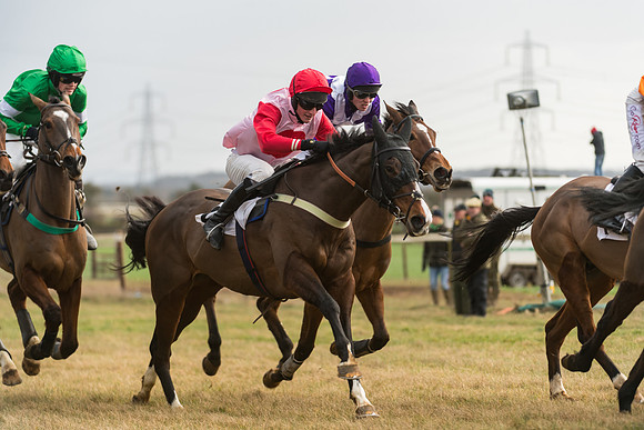 Race 6 - Young Horse Maiden (37 of 64)