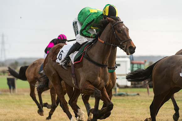 Race 6 - Young Horse Maiden (38 of 64)
