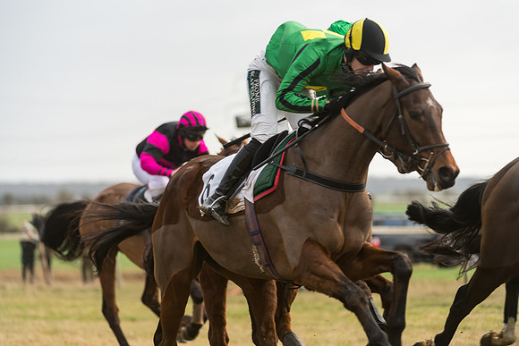 Race 6 - Young Horse Maiden (39 of 64)