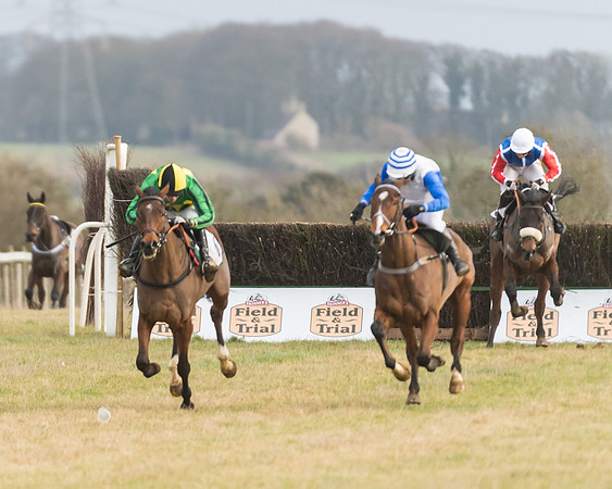 Race 6 - Young Horse Maiden (47 of 64)