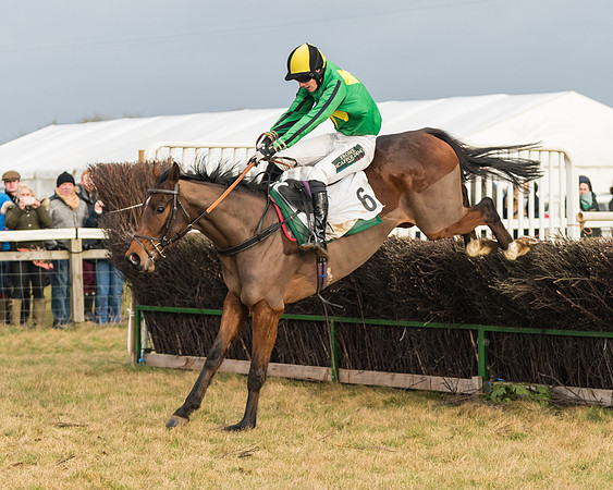 Race 6 - Young Horse Maiden (50 of 64)