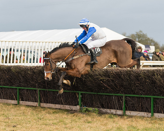 Race 6 - Young Horse Maiden (51 of 64)