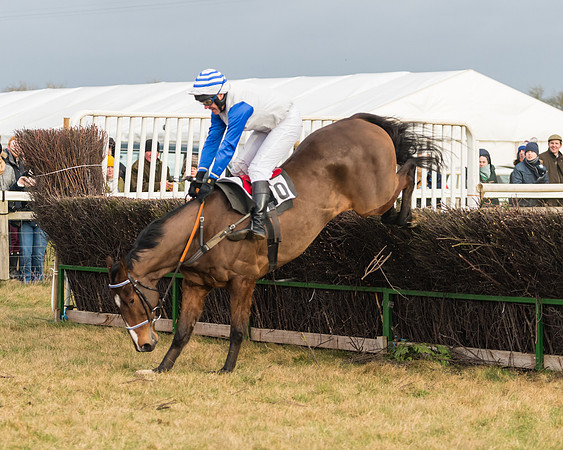 Race 6 - Young Horse Maiden (52 of 64)