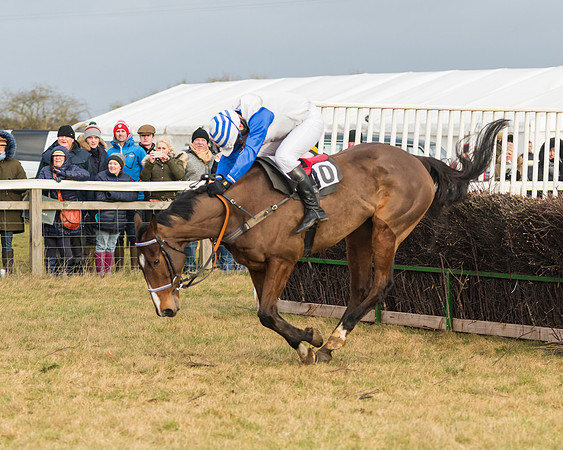 Race 6 - Young Horse Maiden (53 of 64)