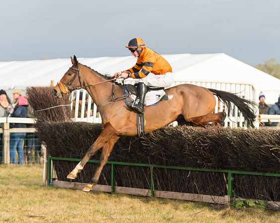 Race 6 - Young Horse Maiden (55 of 64)