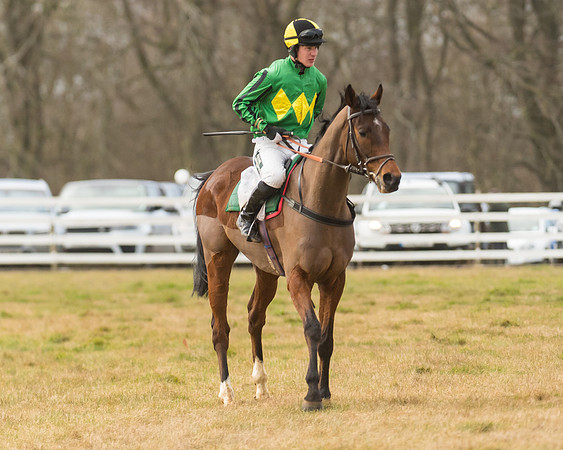 Race 6 - Young Horse Maiden (56 of 64)