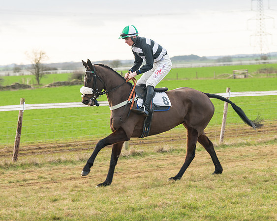 Race 7- Open Maiden (1 of 90)