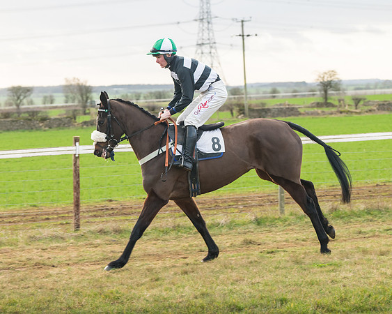 Race 7- Open Maiden (2 of 90)