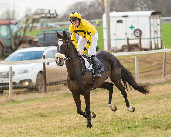 Race 7- Open Maiden (4 of 90)