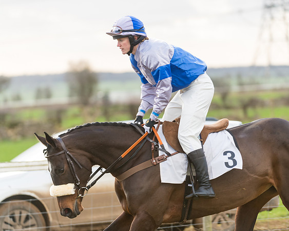 Race 7- Open Maiden (8 of 90)