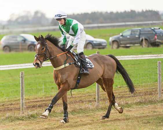 Race 7- Open Maiden (9 of 90)