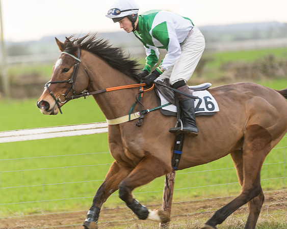 Race 7- Open Maiden (10 of 90)