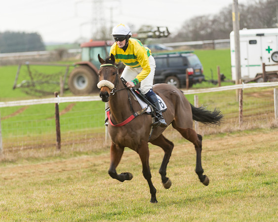 Race 7- Open Maiden (11 of 90)