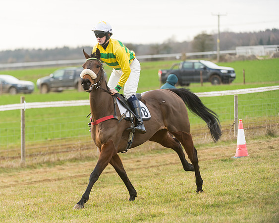 Race 7- Open Maiden (12 of 90)