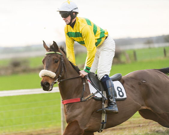 Race 7- Open Maiden (13 of 90)