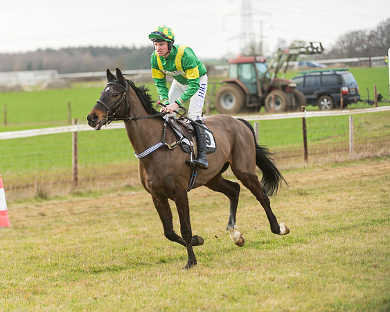 Race 7- Open Maiden (14 of 90)