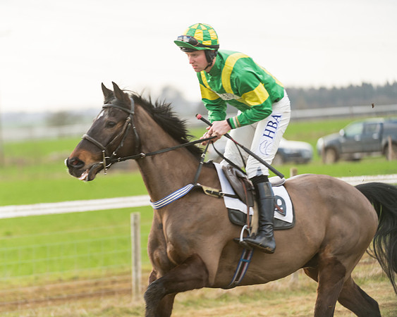 Race 7- Open Maiden (15 of 90)