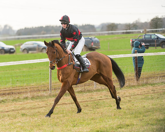 Race 7- Open Maiden (16 of 90)