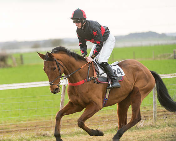 Race 7- Open Maiden (17 of 90)