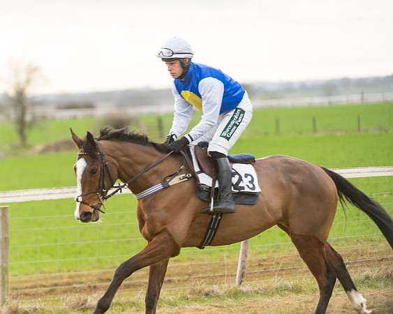 Race 7- Open Maiden (19 of 90)