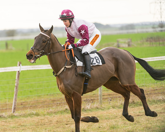 Race 7- Open Maiden (21 of 90)