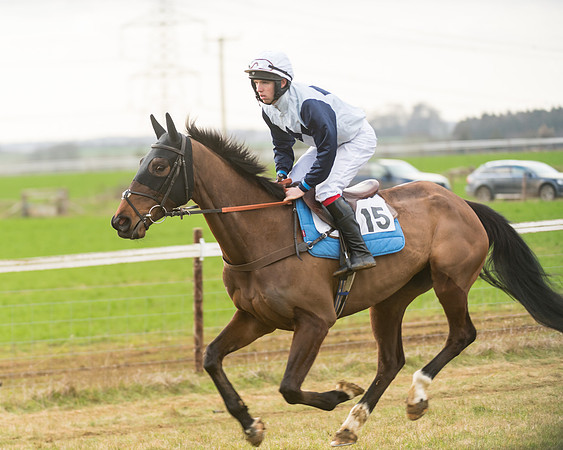 Race 7- Open Maiden (22 of 90)