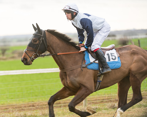 Race 7- Open Maiden (23 of 90)
