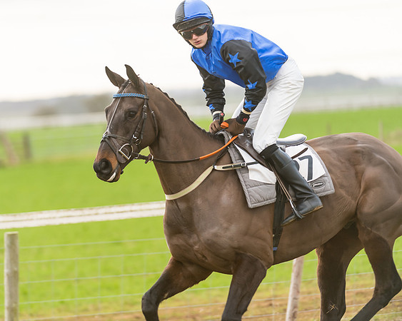 Race 7- Open Maiden (28 of 90)