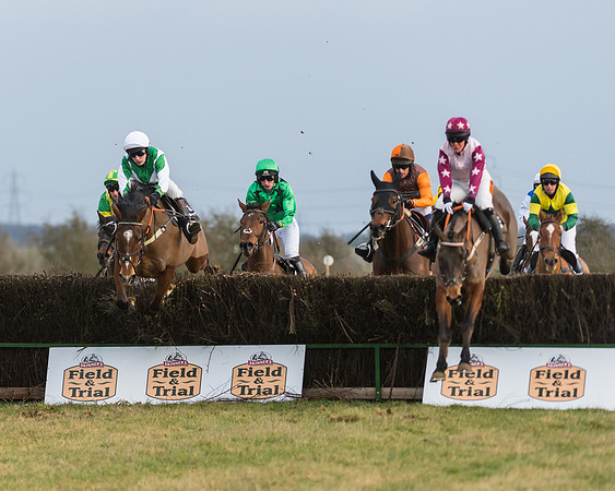 Race 7- Open Maiden (47 of 90)