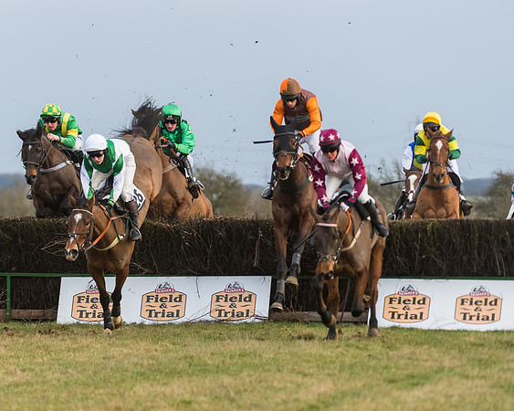 Race 7- Open Maiden (50 of 90)