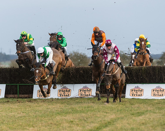 Race 7- Open Maiden (51 of 90)