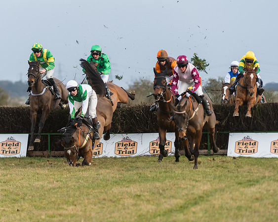 Race 7- Open Maiden (53 of 90)