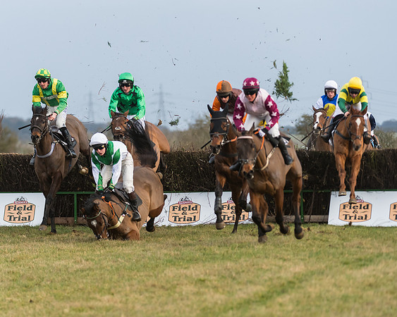 Race 7- Open Maiden (54 of 90)